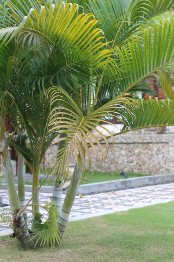 نوسا بينيدا Gepah Garden Cottage المظهر الخارجي الصورة